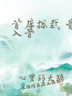 首席总裁 爱你入骨