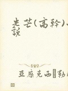 光芒(高干)小说