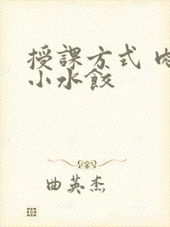 授课方式 肉馅小水饺