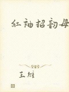 红袖招韵母攻略