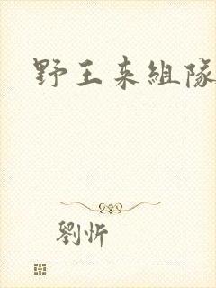 野王来组队小说