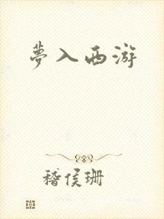 梦入西游