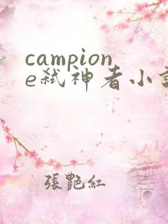 campione弑神者小说