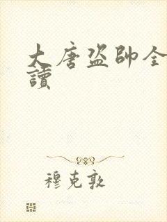 大唐盗帅全文阅读