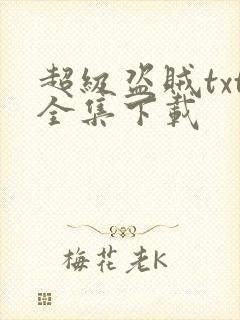 超级盗贼txt全集下载