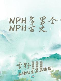 NPH多男全处NPH古文