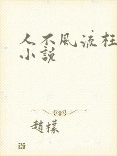 人不风流枉少年小说