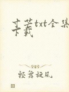 寸芒txt全集下载