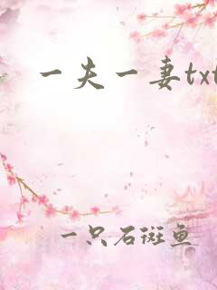 一夫一妻txt