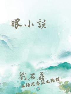 眼小说