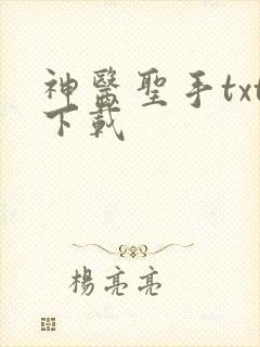 神医圣手txt下载