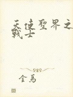 天使圣界之神之战士