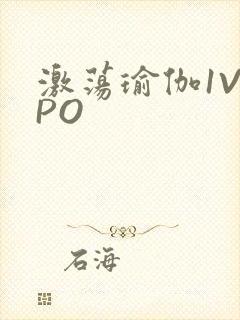 激荡瑜伽1V2PO