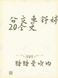 公交车舒婷1一20全文