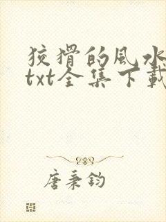 狡猾的风水相师txt全集下载