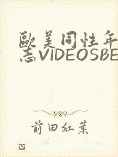 欧美同性年轻同志VIDEOSBEST