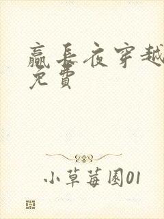 赢长夜穿越小说免费