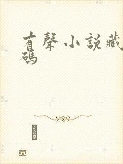 有声小说藏地密码