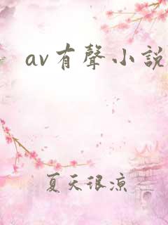 av有声小说