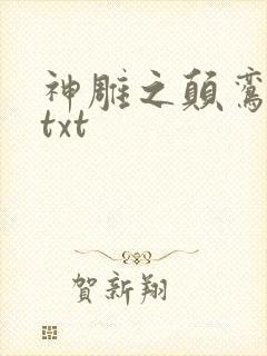 神雕之颠鸾倒凤txt