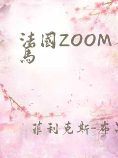 法国ZOOM人马