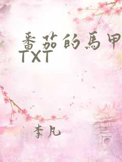 番茄的马甲小说TXT
