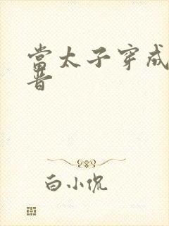 当太子穿成大福晋