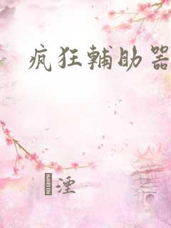 疯狂辅助器
