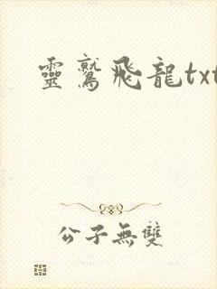 灵鹫飞龙txt