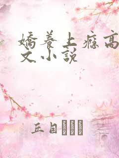 娇养上瘾高H爽文小说