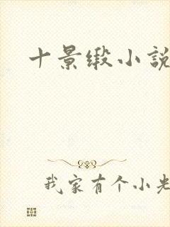 十景缎小说