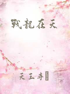 战龙在天