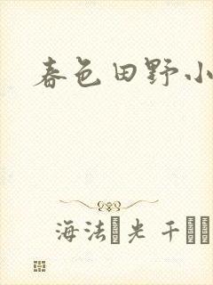 春色田野小说