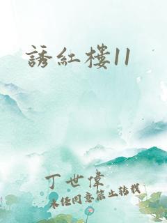 诱红楼11