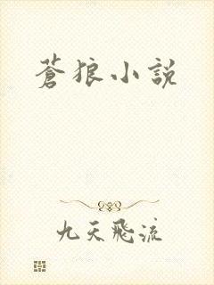 苍狼小说