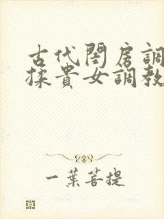 古代闺房调教h揉贵女调教记