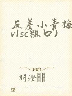 反差小青梅(1v1sc粗口)