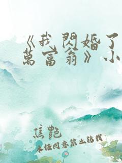 《我闪婚了个亿万富翁》小说