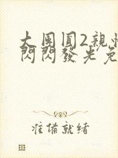 大团圆2亲情会闪闪发光免费