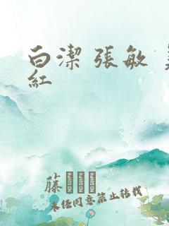 白洁 张敏 美红