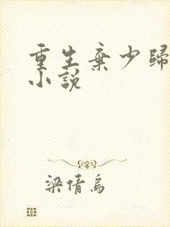 重生弃少归来 小说