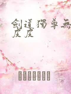 剑道独尊无弹窗皮皮