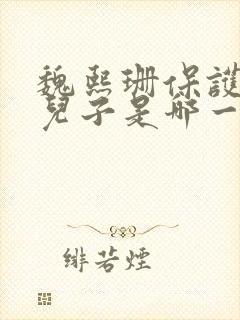 魏熙珊保护萧峥儿子是哪一集