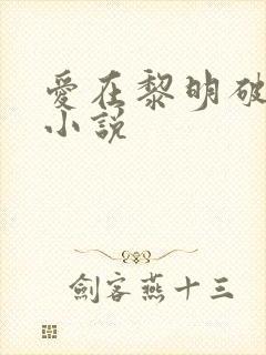 爱在黎明破晓前小说