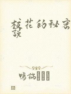 校花的秘密 小说