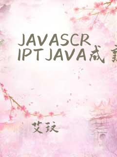 JAVASCRIPTJAVA成熟亲子