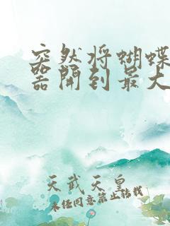 突然将蝴蝶遥控器开到最大