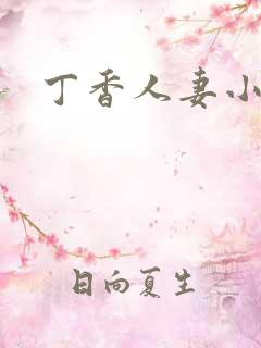 丁香人妻小说