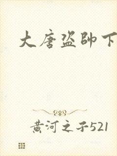 大唐盗帅下载