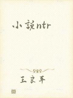 小说ntr